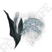 Ghost Glovewort [5]